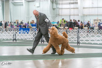 20250315-DSC08200