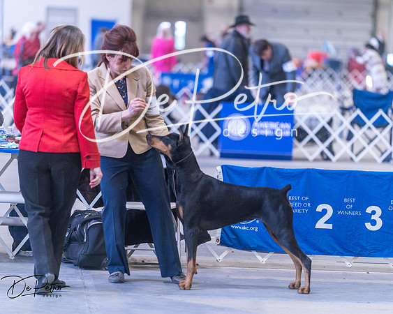 20250302-DSC06692