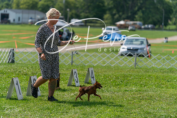 20240816-DSC00340
