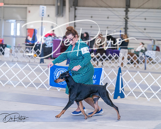 20250302-DSC06786