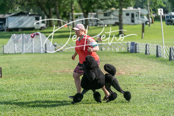 20240630-DSC05175