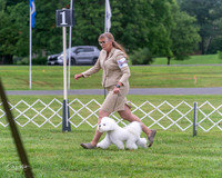 20250626-DSC03570