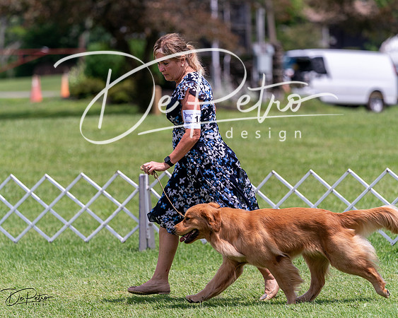 20240630-DSC00419