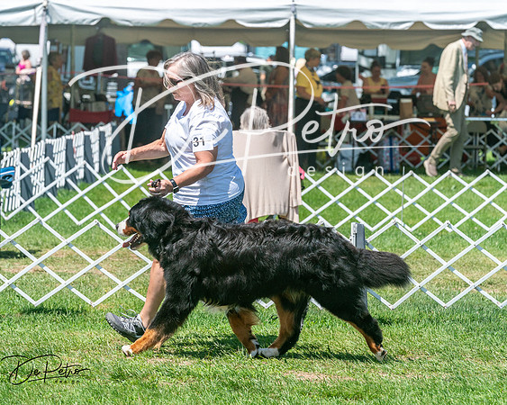 20250629-DSC09275
