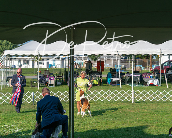 20240913-DSC00497