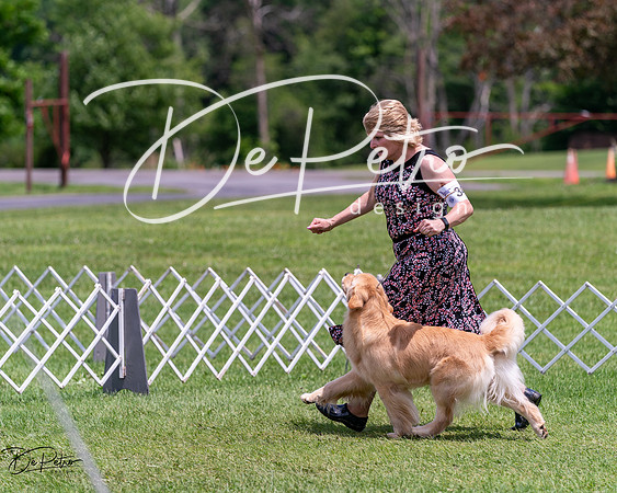 20240630-DSC00481