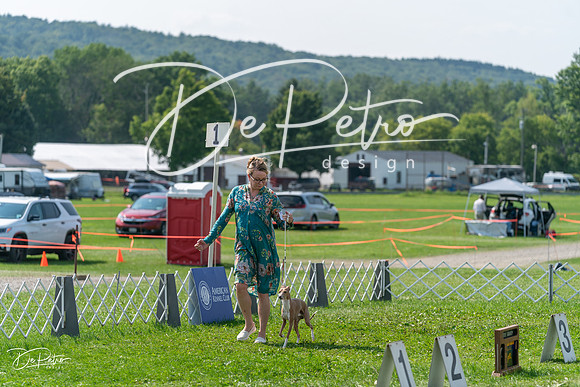 20240816-DSC00303