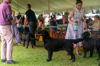 20250622-DSC01649