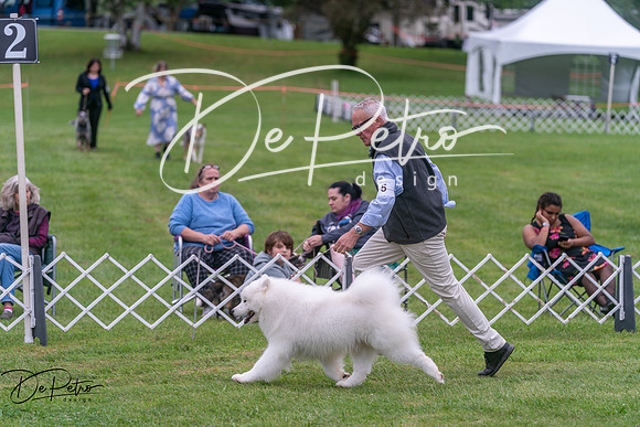 20250627-DSC05928