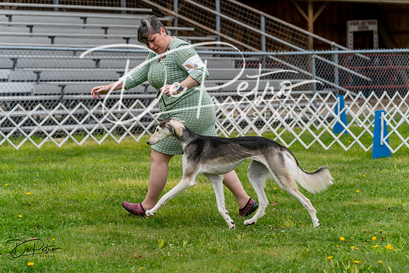 20240428-DSC08433