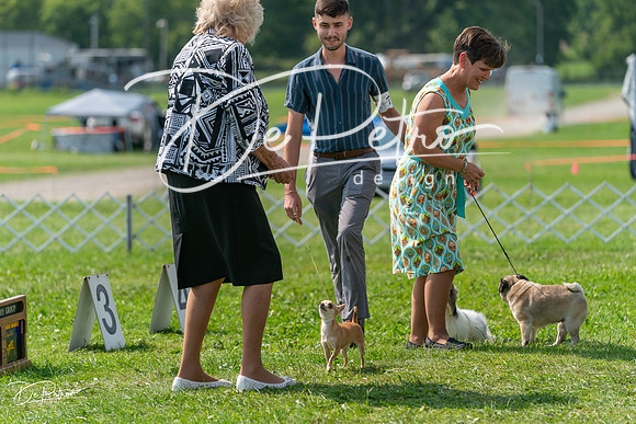 20240816-DSC00483