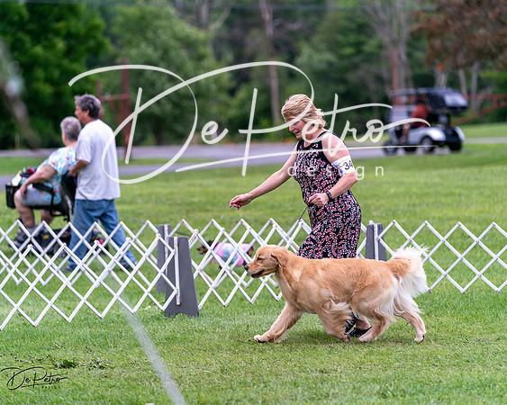 20240630-DSC00677