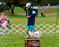 20250626-DSC03076