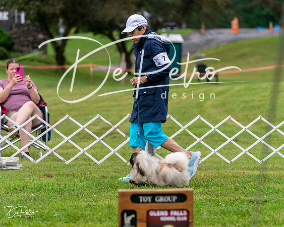 20250626-DSC03076