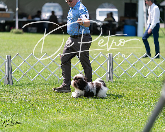 20240630-DSC01521