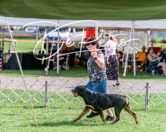 20240815-DSC07526
