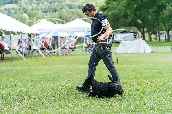 20240630-DSC05502