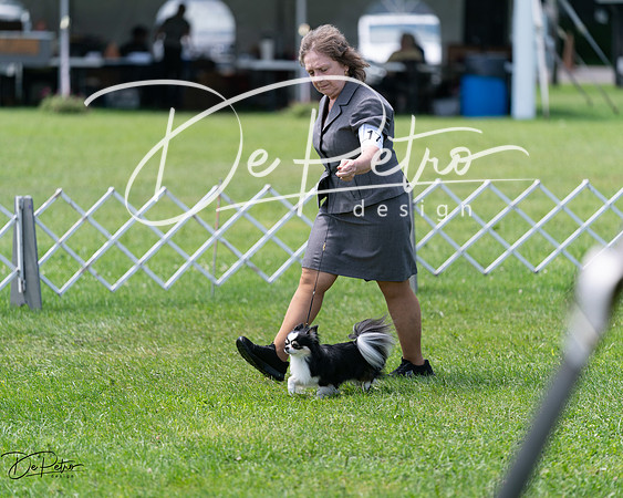 20240630-DSC01570