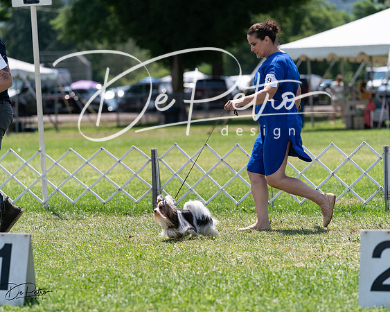 20240630-DSC01432