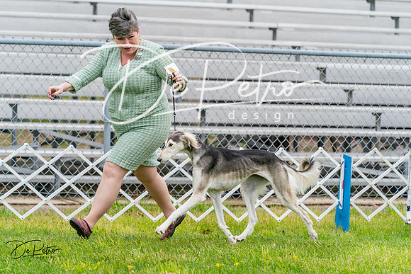 20240428-DSC08406