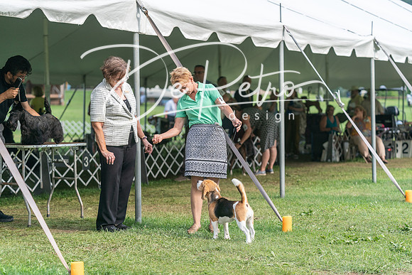 20240630-DSC05443