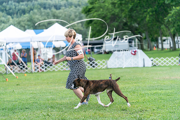 20240630-DSC05362