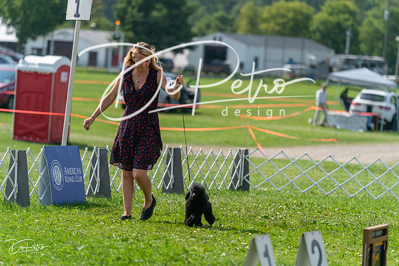 20240816-DSC00444