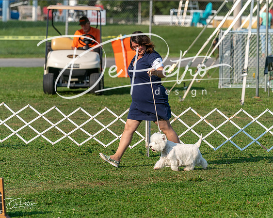 20240913-DSC00419
