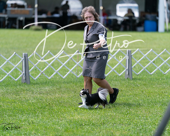 20240630-DSC01574
