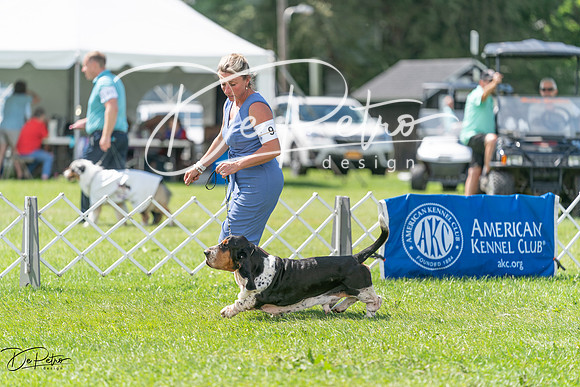 20240630-DSC02342
