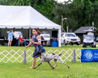 20240630-DSC03844