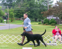 20250626-DSC03885