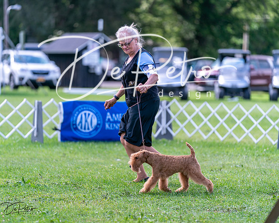 20240630-DSC03599