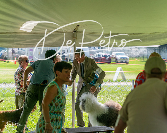 20240816-DSC01139