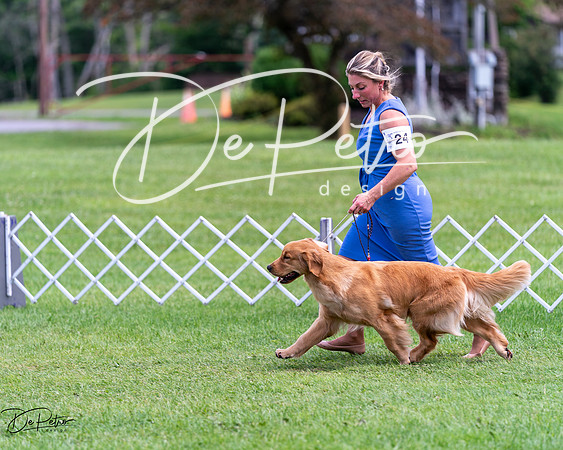 20240630-DSC00137