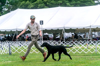 20250626-DSC02146