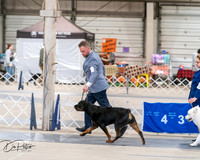 20250301-DSC03917