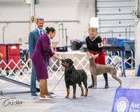20250301-DSC04540