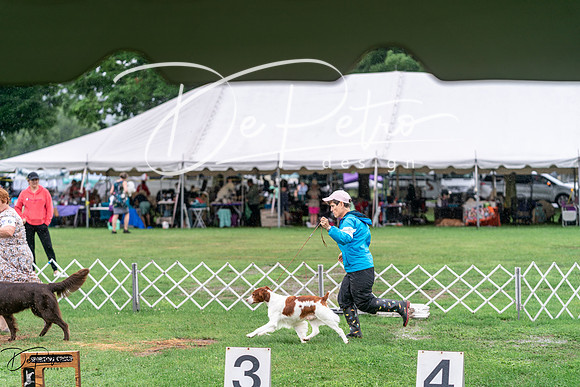 20240629-DSC06883