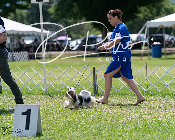 20240630-DSC01434
