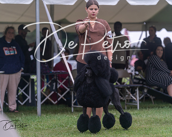 20250627-DSC06778