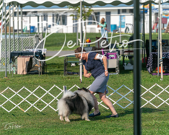 20240913-DSC00358