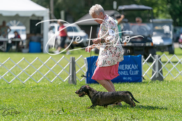 20240630-DSC02383