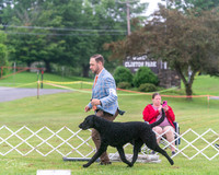 20250626-DSC03881