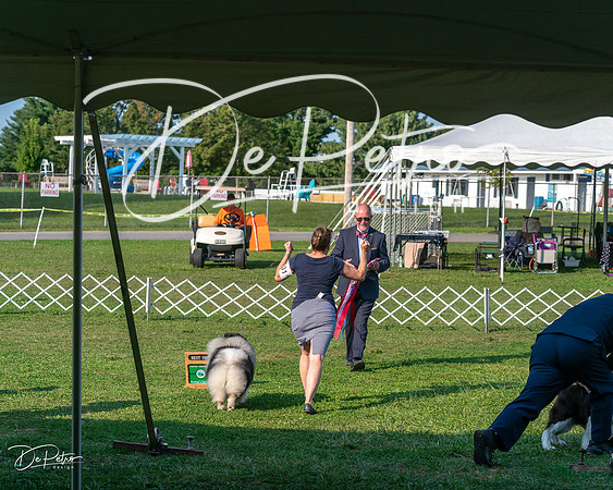 20240913-DSC00515