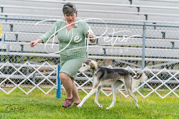 20240428-DSC08418