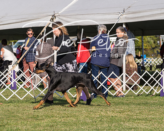 20190929-DSC02603