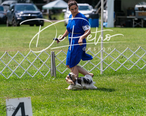 20240630-DSC01613