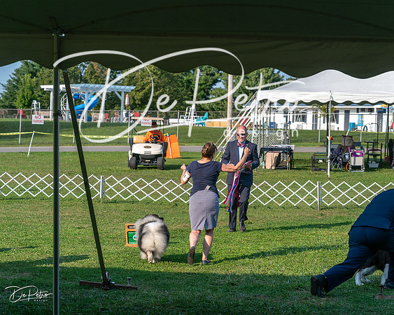 20240913-DSC00511