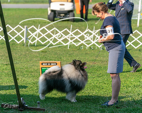 20240913-DSC00480